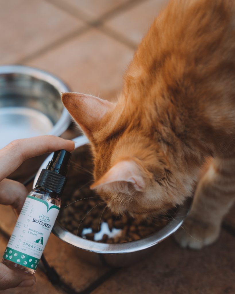 CBD als Futtermittelzusatz (hier: Katzenfutter) für Haus- und Nutztiere?